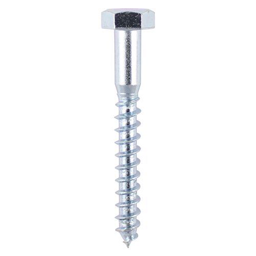 Coach Screw 8 x 50mm (Bag 5)