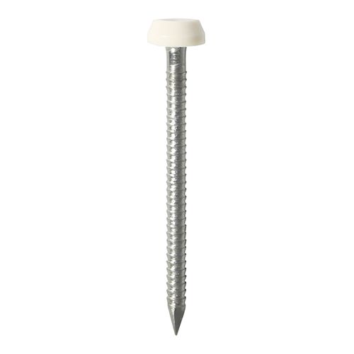 Polymer Headed Pin - White 40mm Box 250 PP40W