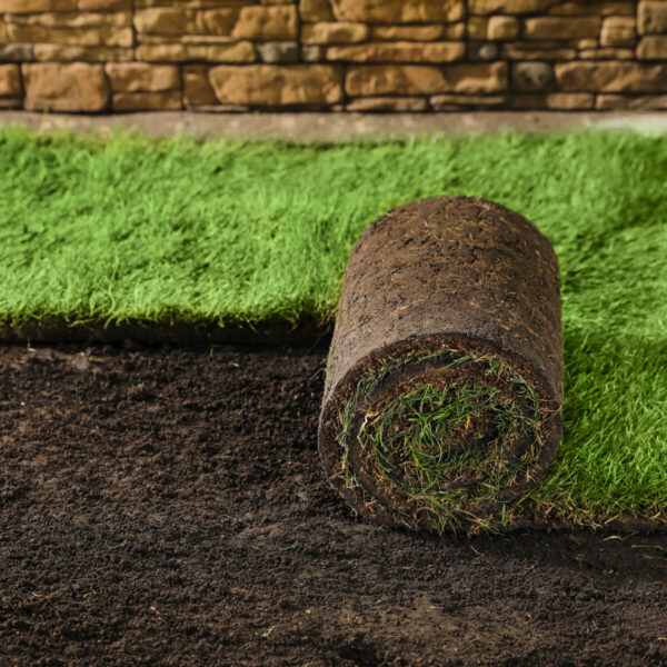 Premium Turf Roll – 25m² | 600mm Wide x 1.6m Long Per Roll |